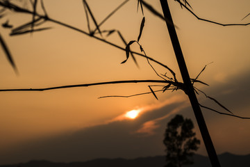 beautiful sunlight sunset for background