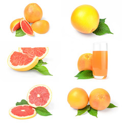 Collection of grapefruit over a white background