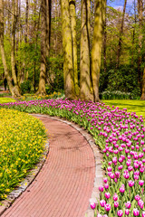 Naklejka na ściany i meble Spring Formal Garden. Beautiful garden of colorful flowers