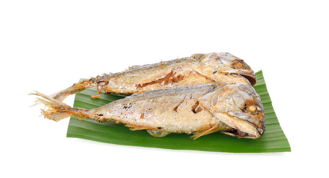 Fried mackerel on white  background