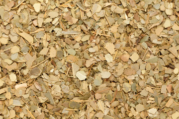 Dried and cut Organic Indian bay leaf or tejpat, tejapatta, Malabar leaf (Cinnamomum tamala). Macro closeup background texture. Top view.