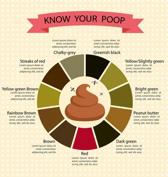 Poop Stool Color Changes Color Chart and Meaning, Healthy Concept Stock  Vector | Adobe Stock