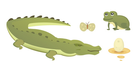 Cute Crocodile set. Aligator vector cartoon illustration