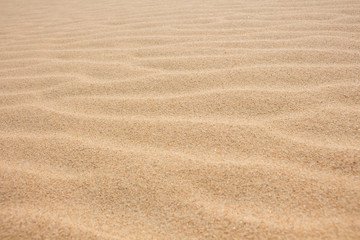 Obraz na płótnie Canvas Sand dunes closeup