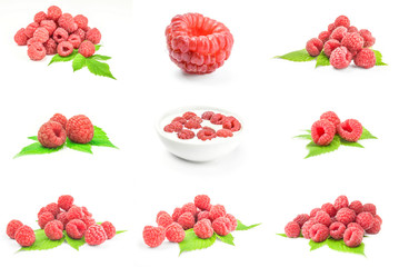 Collage of rubusberry close-up isolated on white background