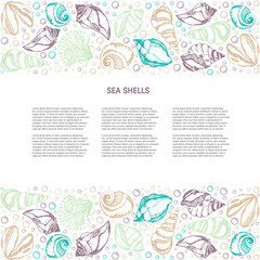 Sea shells background