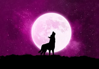Papier Peint photo Loup Concept loup, loup-garou devant la lune la nuit