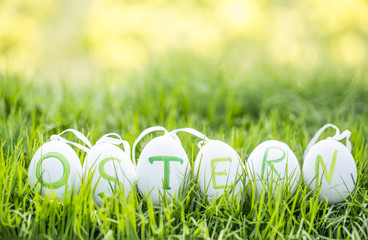 Wiese Ostereier Eier