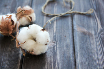 Flowers of cotton on wooden table