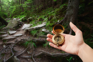 Female hand holding compass