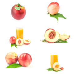 Collage of fresh peaches fruits on a white background cutout