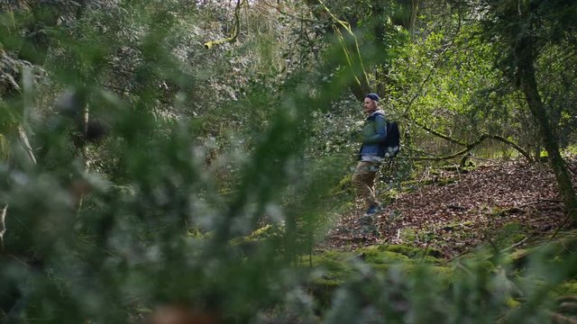 4K Photographer in the forest taking photos of nature