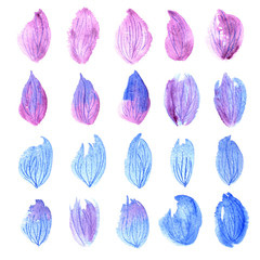 Watercolor hand painted blue and pink petals isolated on a white background