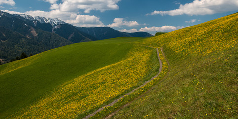 Field in Funes Valley