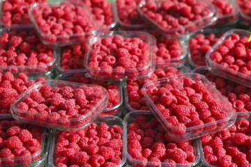 Himbeeren auf einem Marktstand, Bremen, Deutschland