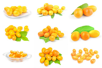 Collage of cumquats on white