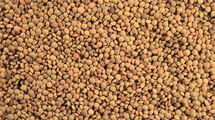 TOP VIEW: Lentil grains