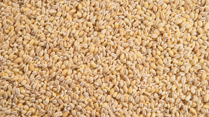 TOP VIEW: Pearl barley