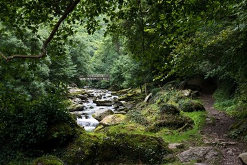 Boscastle river