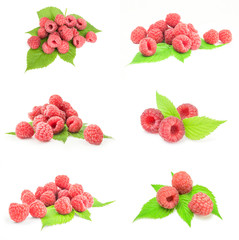 Group of rasp berry close-up isolated on white background