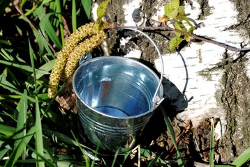 Birch sap