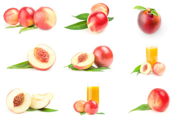 Collage of fresh peaches fruits isolated on a white background cutout
