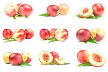 Collage of fresh peaches fruits on a white background clipping path