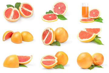 Collection of grapefruit over a white background
