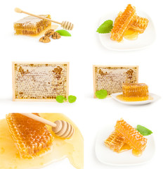 Collection of Sweet honey