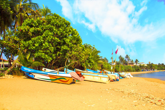 Bright boats on the tropical beach of Bentota, Sri Lanka on a sunny day
