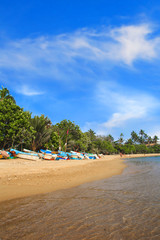 Bright boats on the tropical beach of Bentota, Sri Lanka on a sunny day