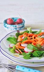 Spring vegetable salad with carrot and radishes. Concept of healthy food. Selective focus