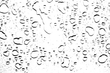 abstract water drops on a white background