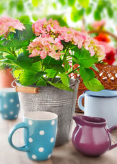 Garden  Decorations and flowers country style