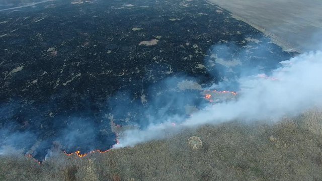 Wildfire in droughty spring weather, view from above
