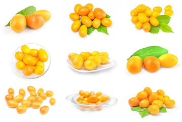 Collage of kumquats on a background