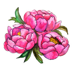Bouquet of peonies watercolor
