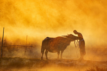 Silluate buffalo and farmer in smoke fire on during sunset, Life' Machine of Farmer,Original agriculture use buffalo plow the field,Thailand