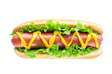 Hot dog with big sausage and salad isolated on white background