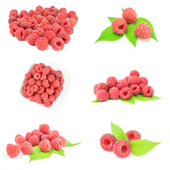 Set of rubusberry on a isolated white background