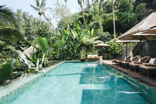 Indonesia, Bali, tropical swimming pool