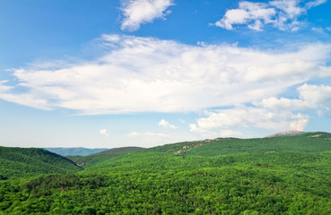 Fototapeta premium Mountain landscape with green trees. Composition of Nature.