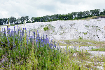 view into chalk rock quarry mine