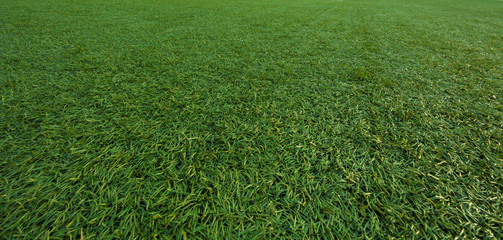 Background artificial turf green grass