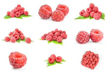 Collage of raspberry fruit isolated over a white background