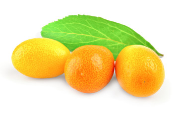 Kumquat citrus on a white background cutout