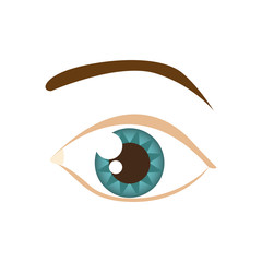 cartoon human male eye with eyebrow vector illustration