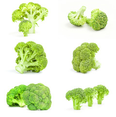 Set of fresh head of broccoli on a white background