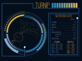 Turnip. Nutrition facts. Vitamins and minerals. Futuristic  Interface. HUD infographic elements. Flat design, no gradient. Vector illustration