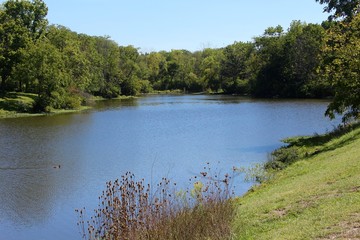 Fototapeta na wymiar The lake on a sunny summer day.